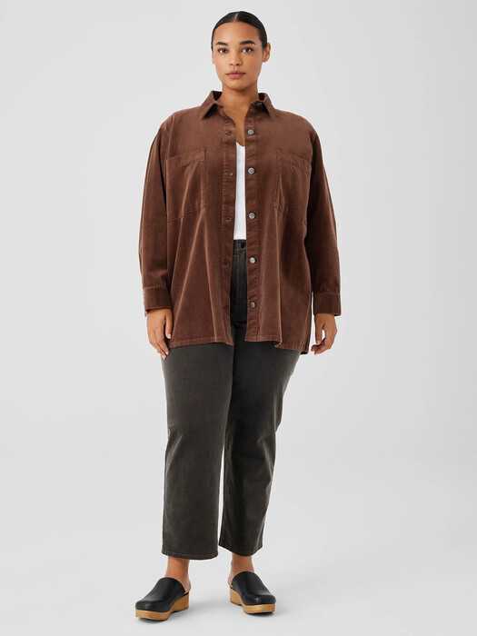 Organic Cotton Stretch Corduroy Straight Pant