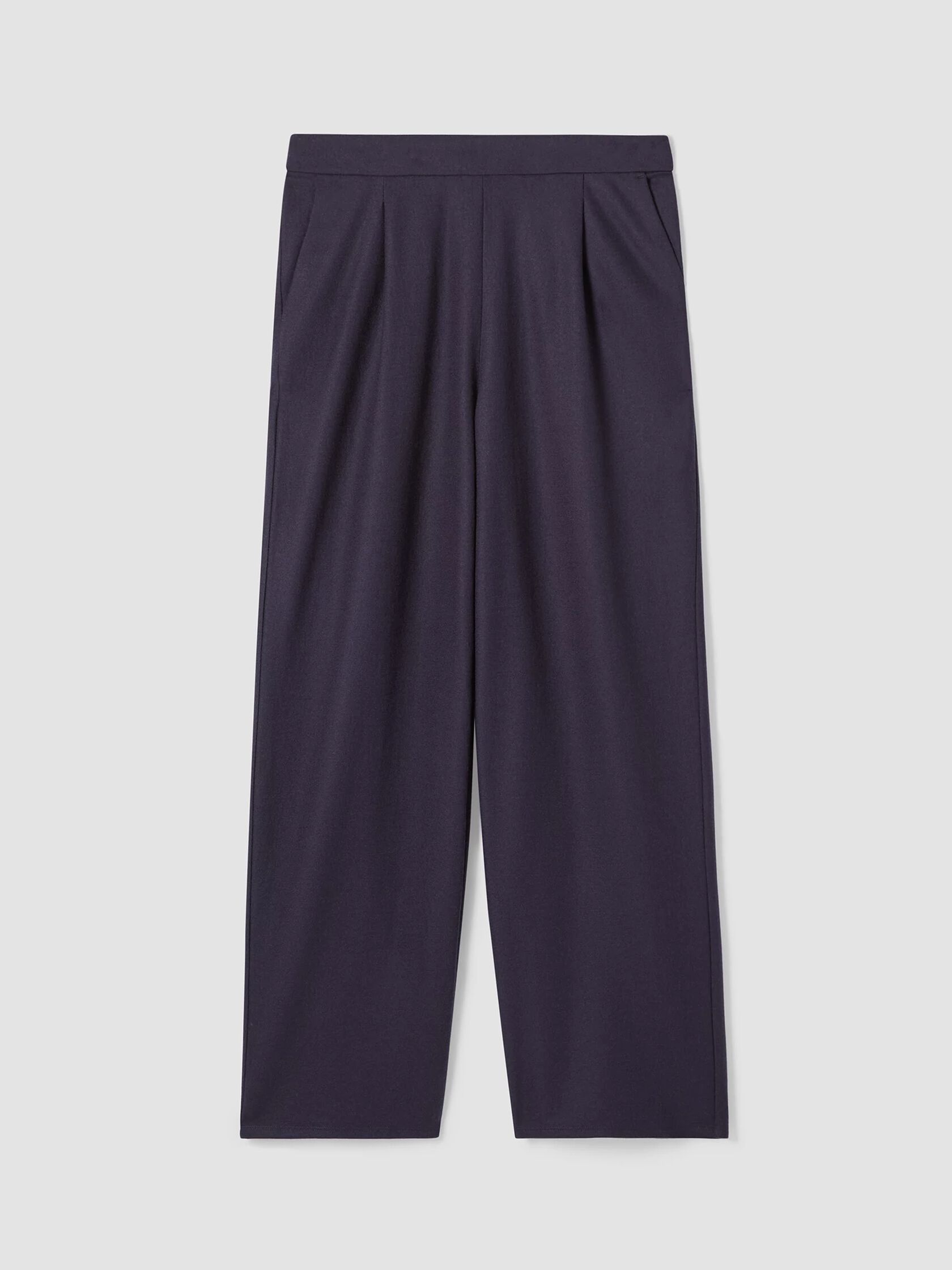 Boiled Wool Jersey Pleated Wide-Leg Pant