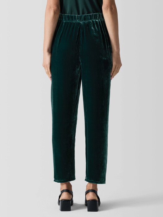 Velvet Tapered Pant