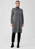 Merino Jersey Turtleneck Dress in Regenerative Wool