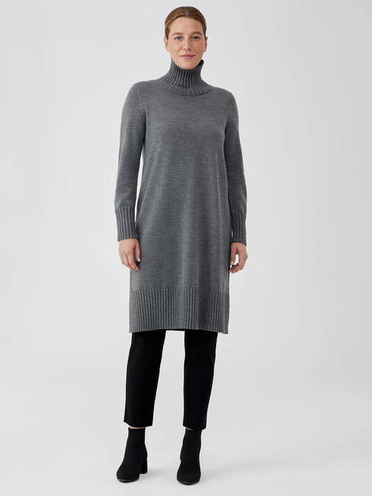 Merino Jersey Turtleneck Dress in Regenerative Wool