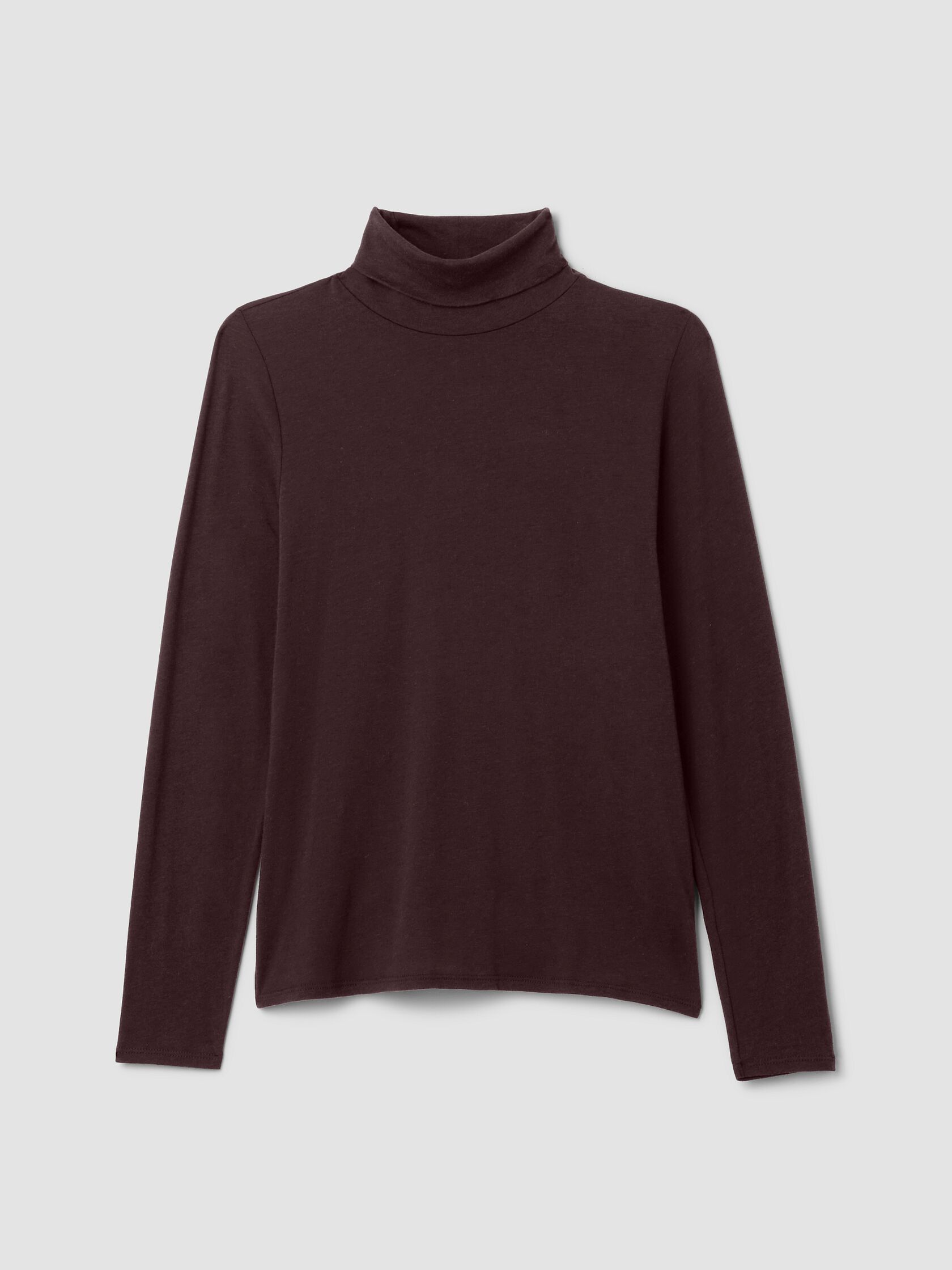 Sheer Cotton Blend Knit Turtleneck Top