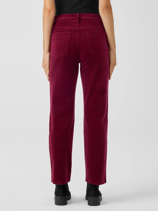 Organic Cotton Stretch Corduroy Straight Pant