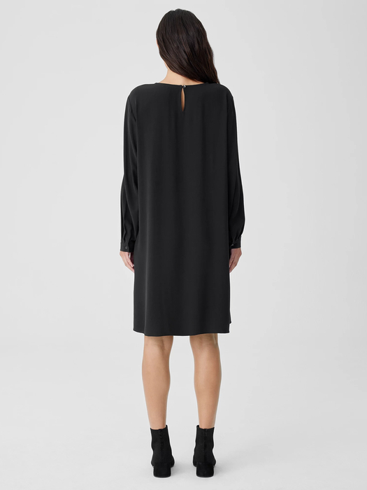 Silk Georgette Crepe Crew Neck Dress