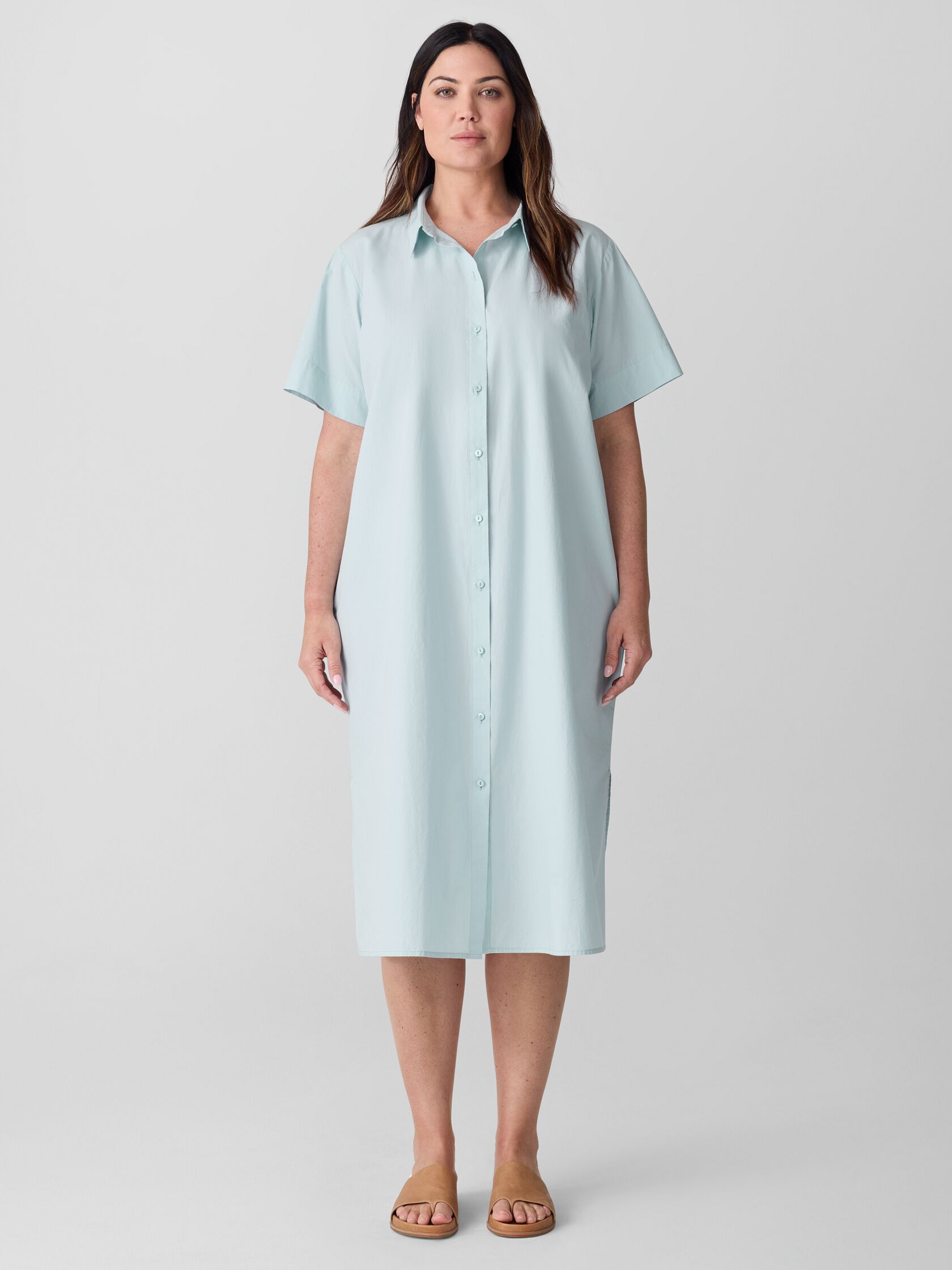 Washed Organic Cotton Poplin Classic Collar Shirtdress