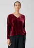 Velvet V-Neck Top