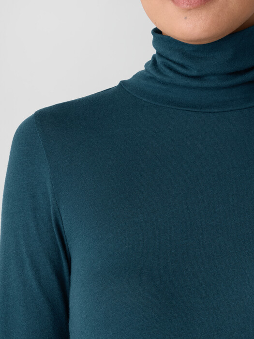 Sheer Cotton Blend Knit Turtleneck Top