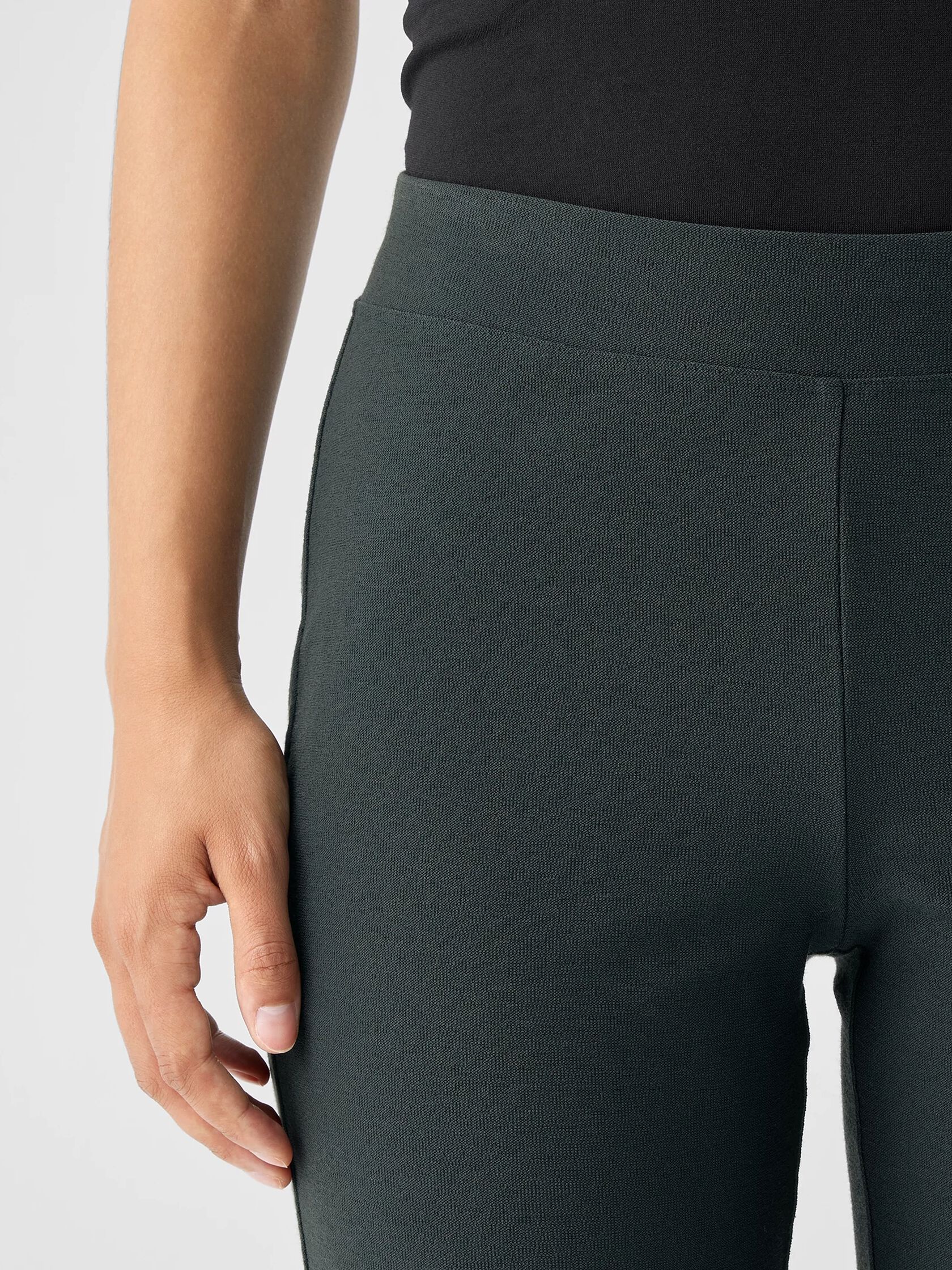 Washable Stretch Crepe Pant
