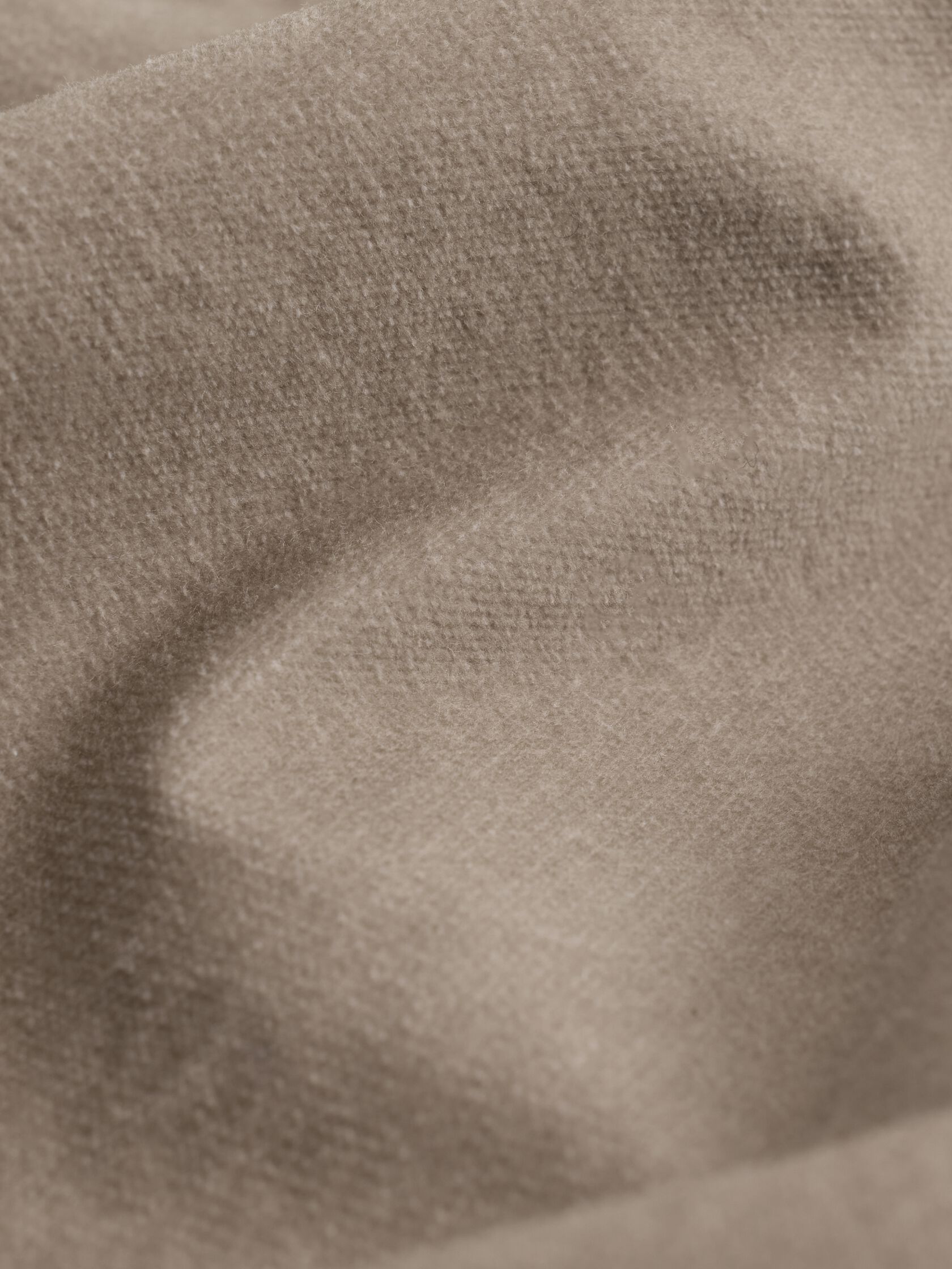Brushed Organic Cotton Arch Pant