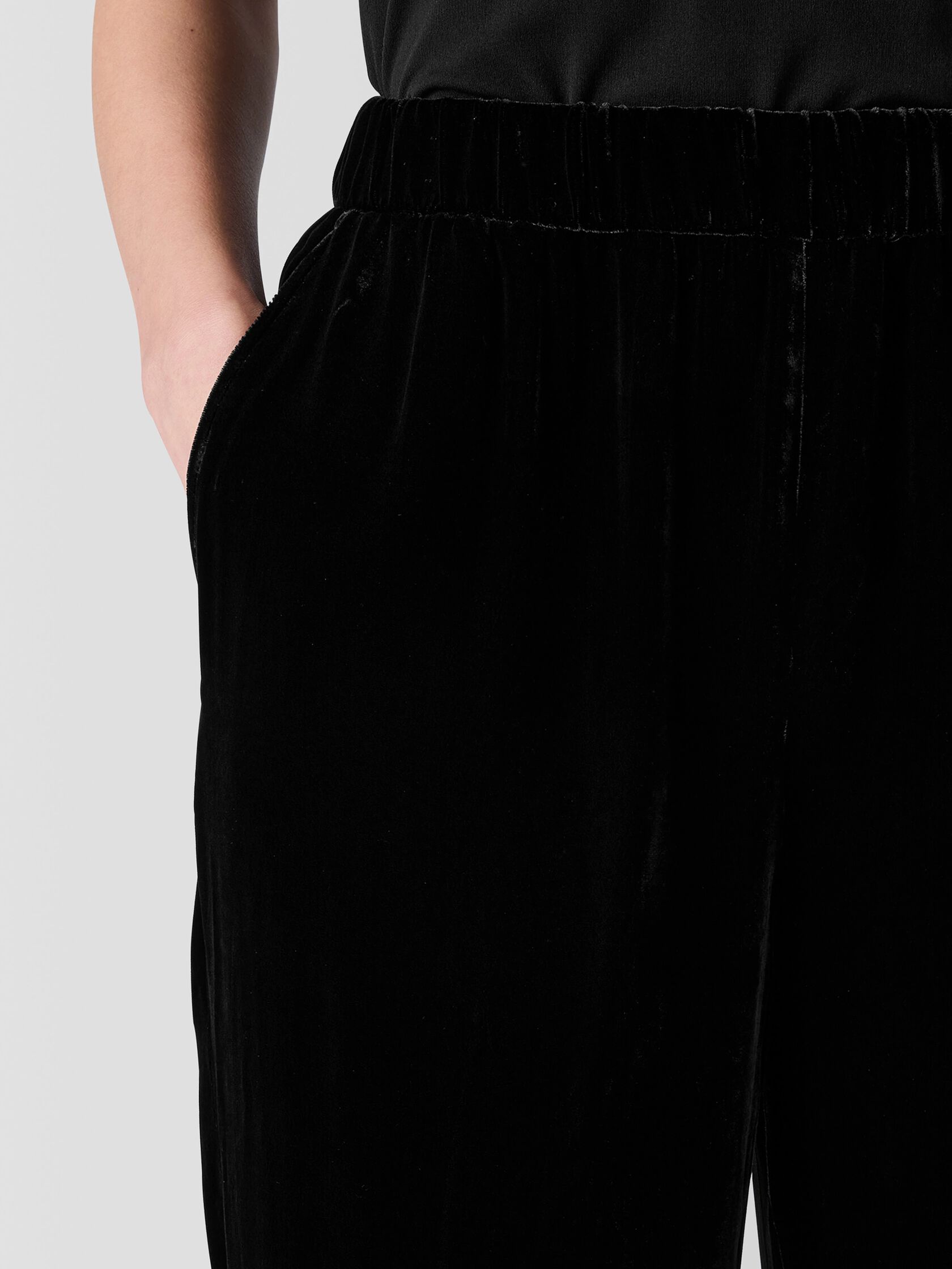 Velvet Tapered Pant