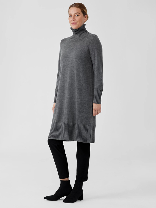 Merino Jersey Turtleneck Dress in Regenerative Wool