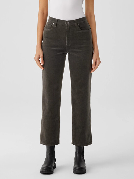 Organic Cotton Stretch Corduroy Straight Pant