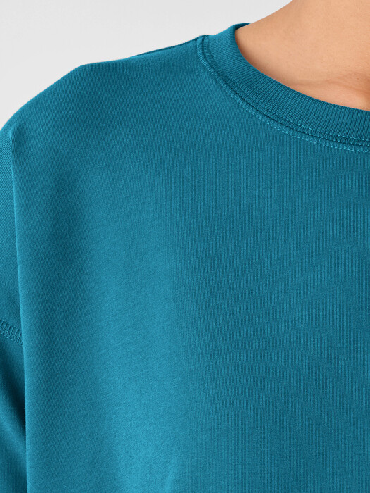 Pima Cotton Stretch Jersey Box-Top