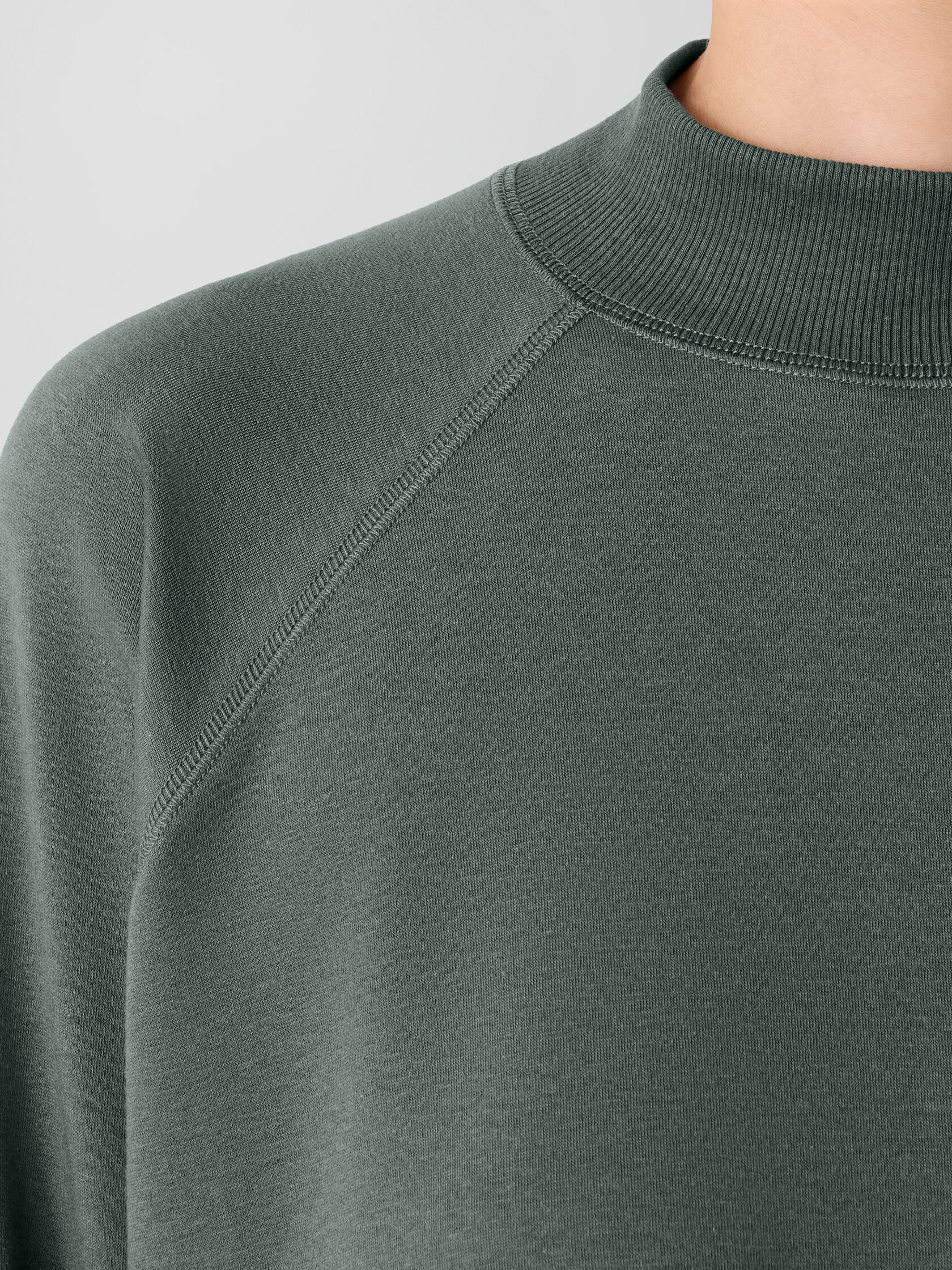Cozy Brushed Terry Hug Mock Neck Top