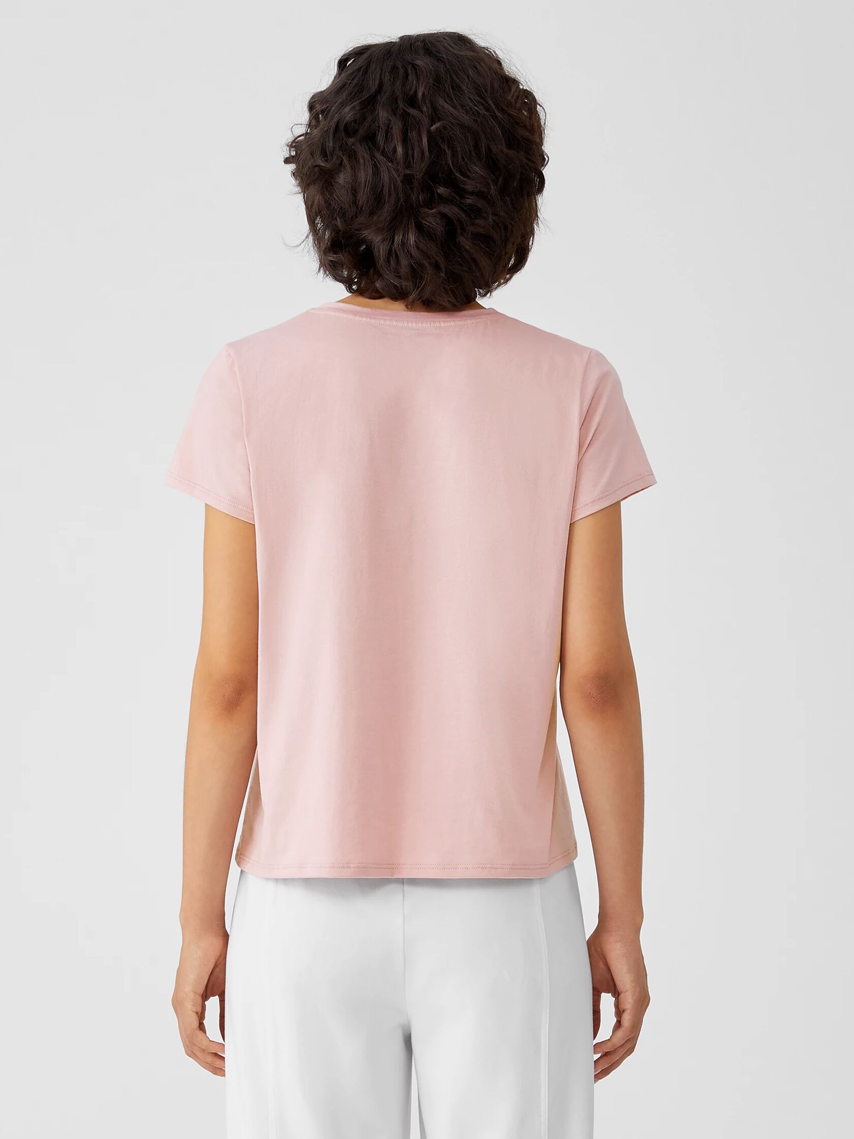 Organic Pima Cotton Jersey V-Neck Tee