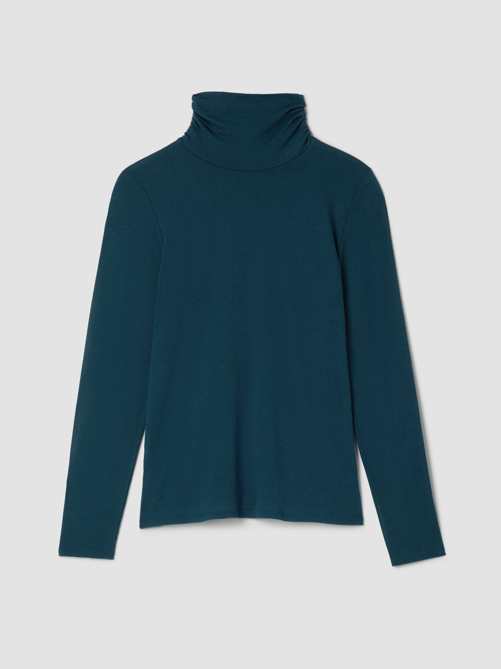 Sheer Cotton Blend Knit Turtleneck Top
