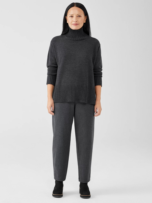 Merino Jersey Turtleneck in Regenerative Wool