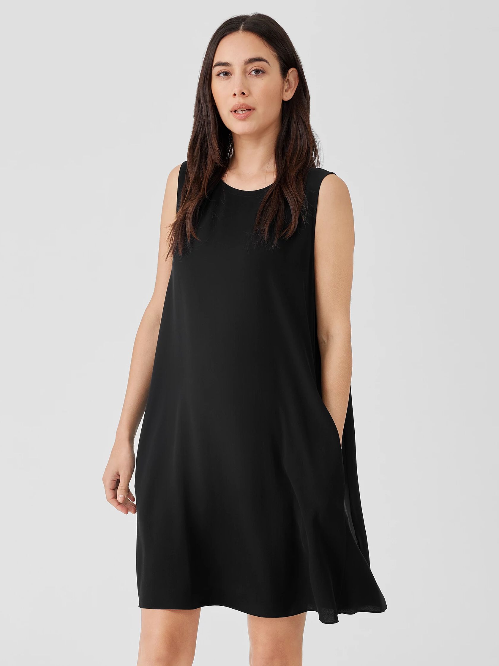 Silk Georgette Crepe Round Neck Dress