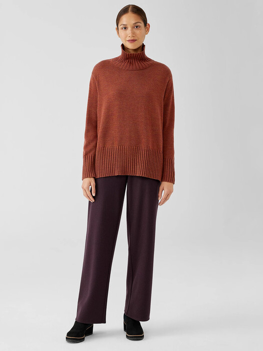 Merino Jersey Turtleneck in Regenerative Wool