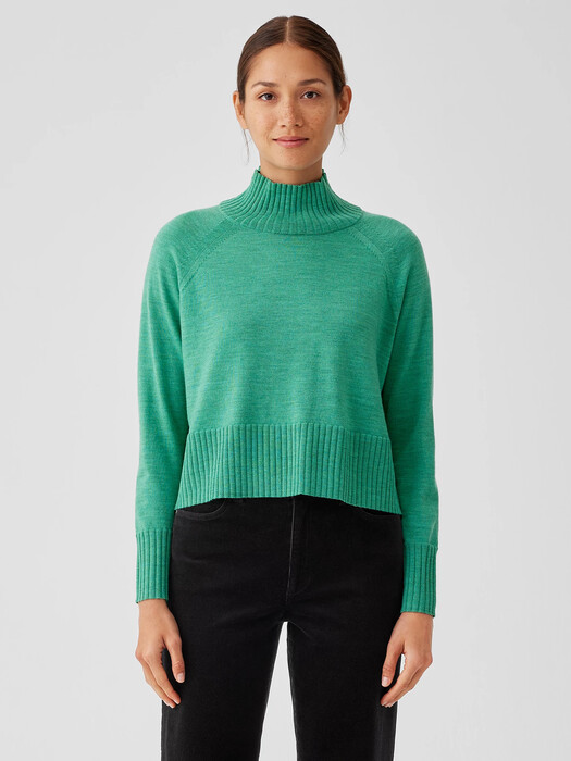 Merino Jersey Turtleneck Top in Regenerative Wool