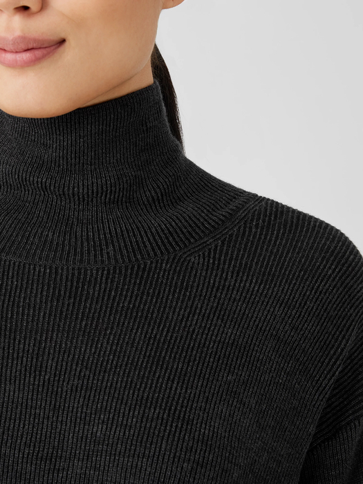 Merino Turtleneck Top in Responsible Wool