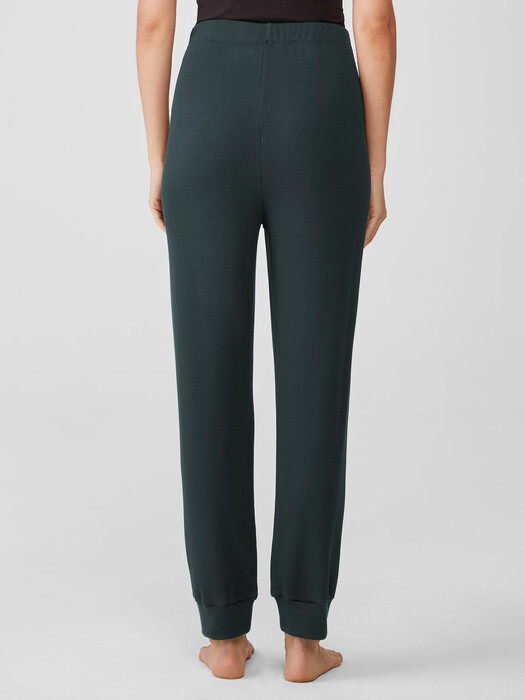 Cozy Organic Cotton Thermal Jogger Pant