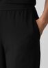 Pima Cotton Stretch Jersey Tapered Pant
