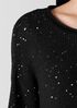 Merino Sequin Jewel Neck Top