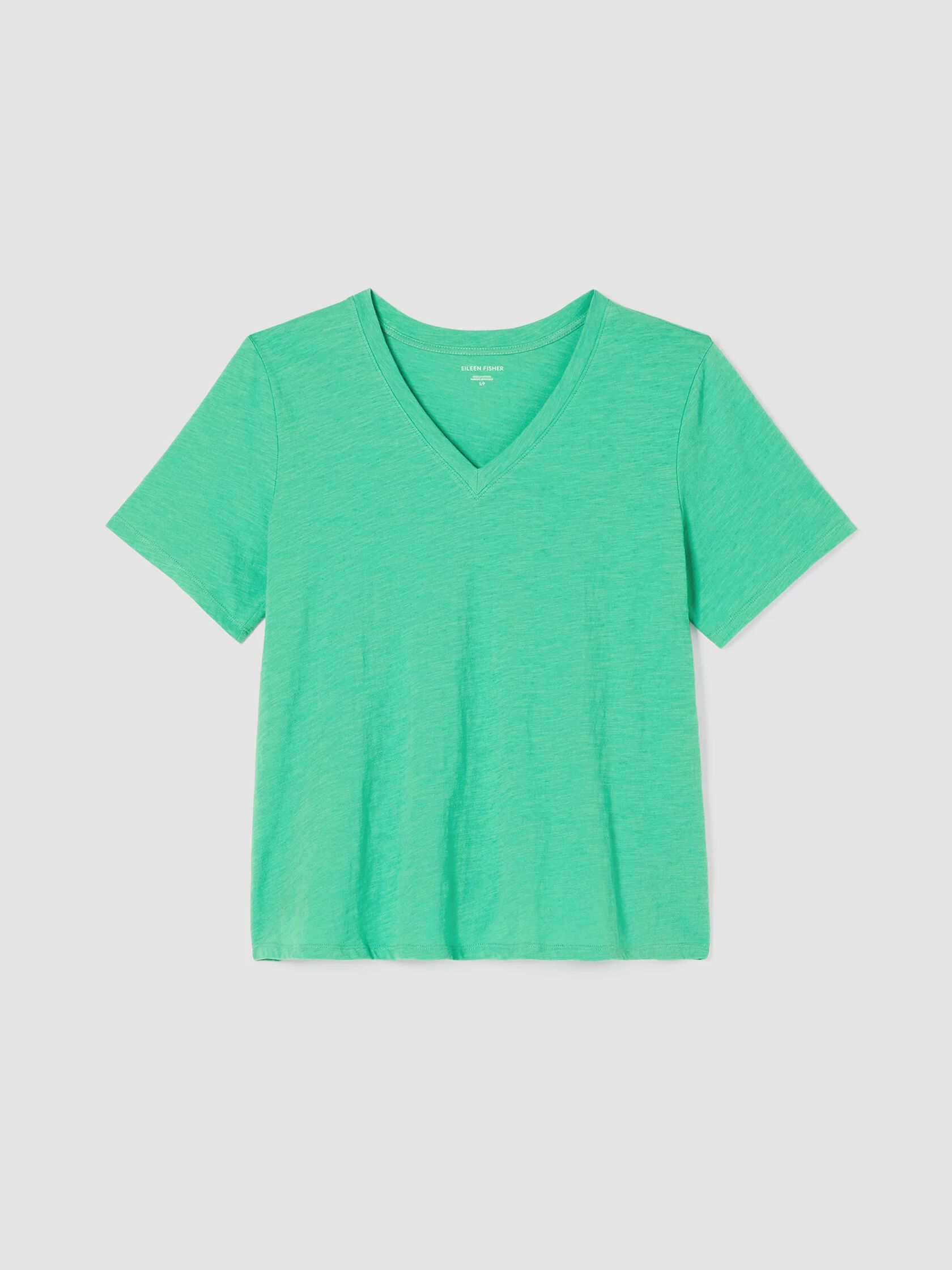 Organic Cotton Slub V-Neck Tee