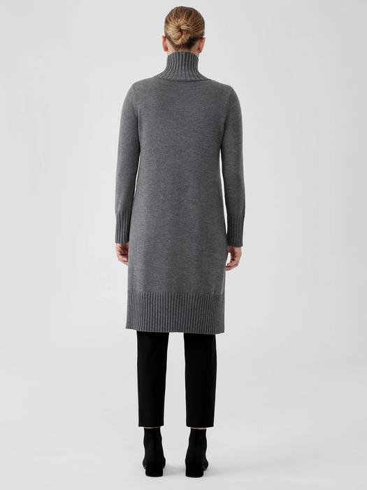 Merino Jersey Turtleneck Dress in Regenerative Wool