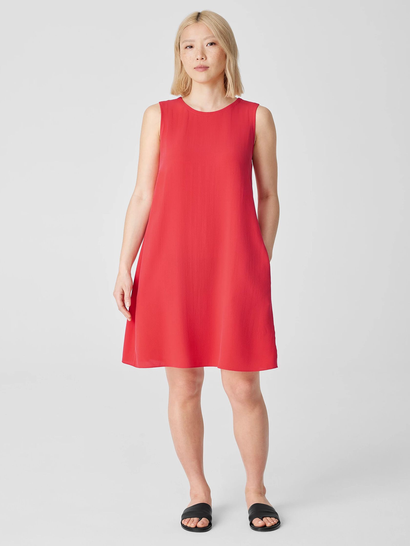 Silk Georgette Crepe Round Neck Dress