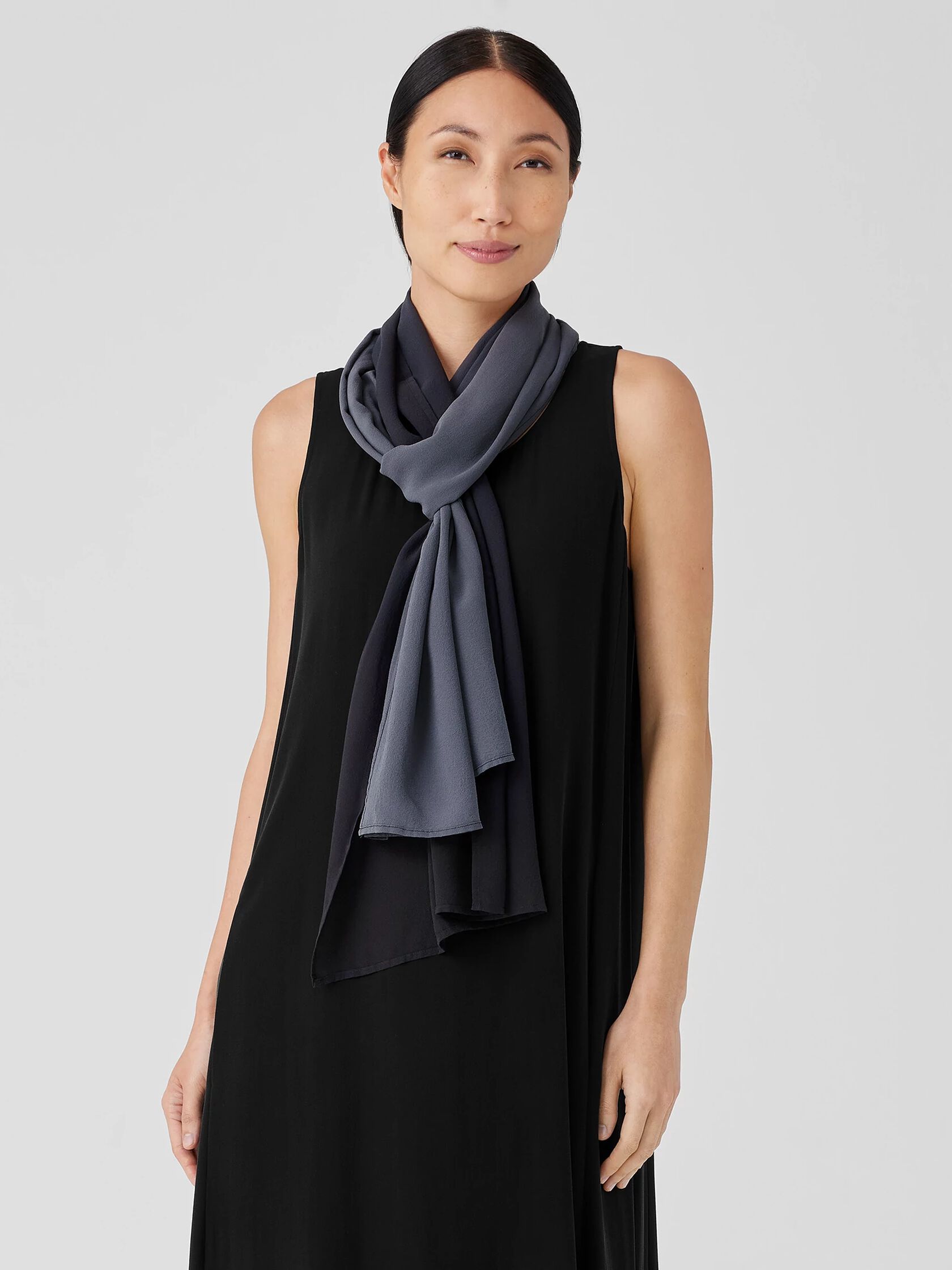 Ombré Sheer Silk Georgette Scarf