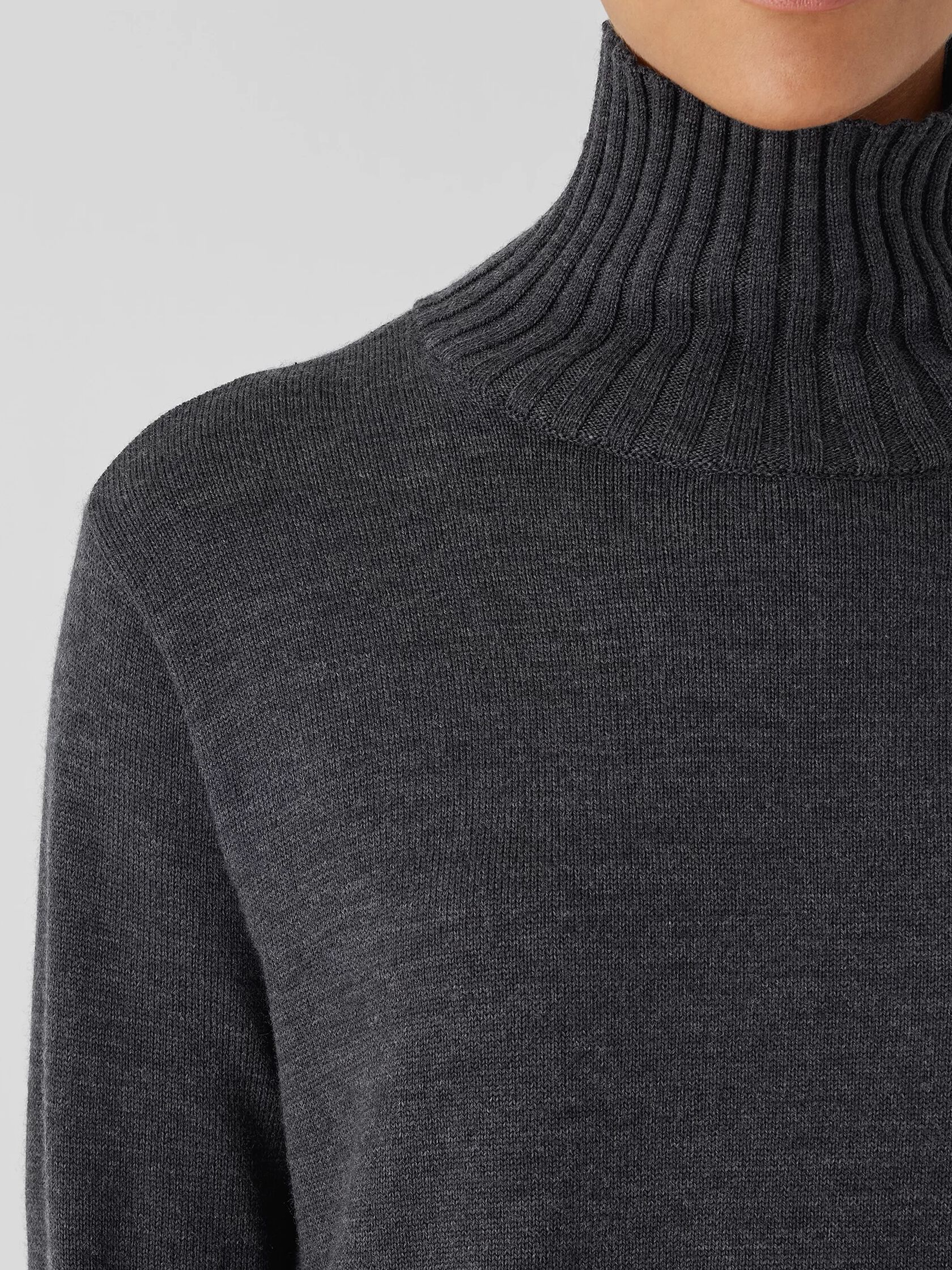 Merino Jersey Turtleneck in Regenerative Wool