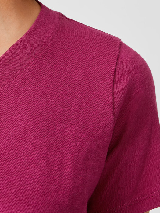 Organic Cotton Slub V-Neck Tee