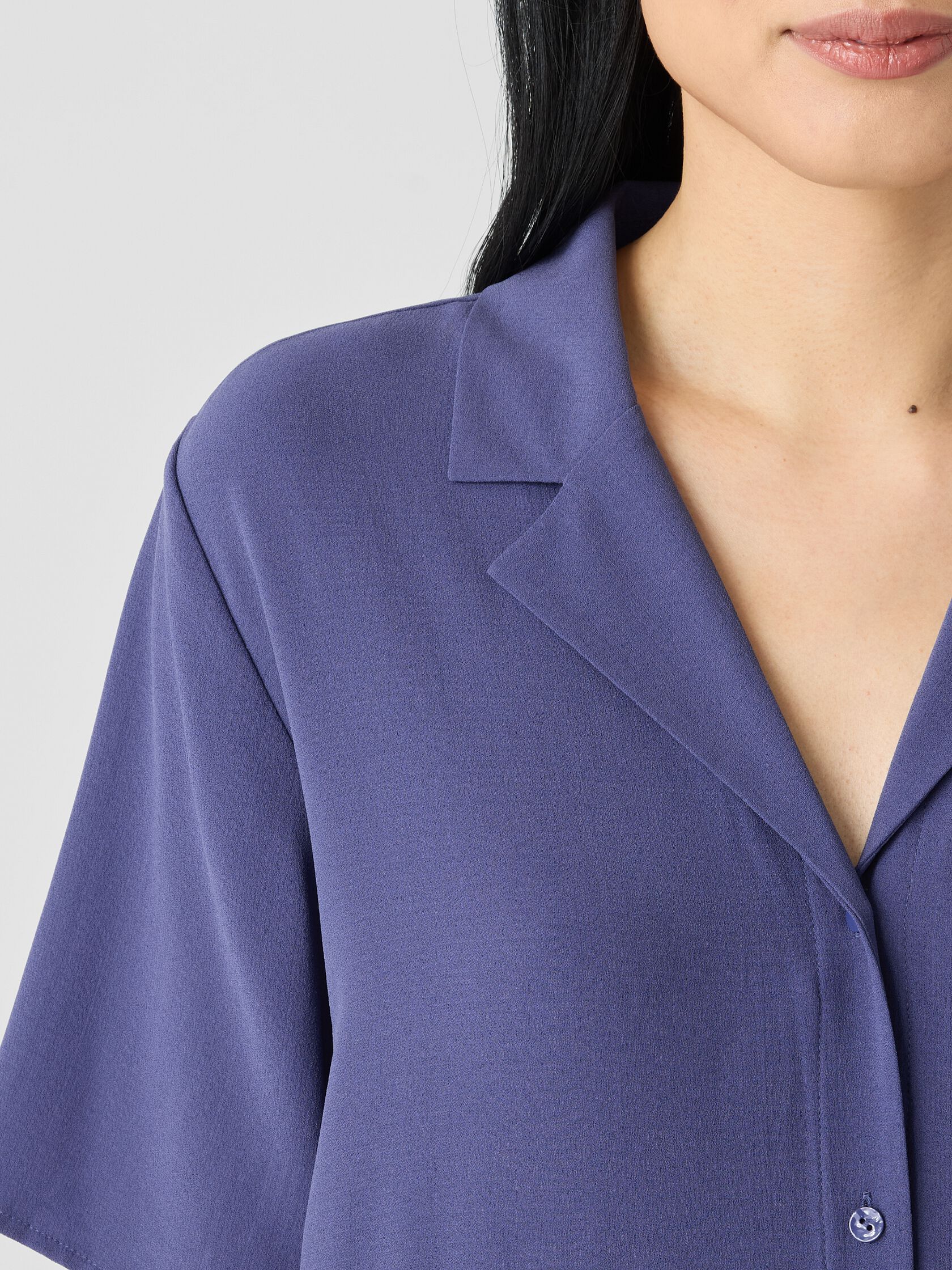 Silk Georgette Crepe Shirtdress