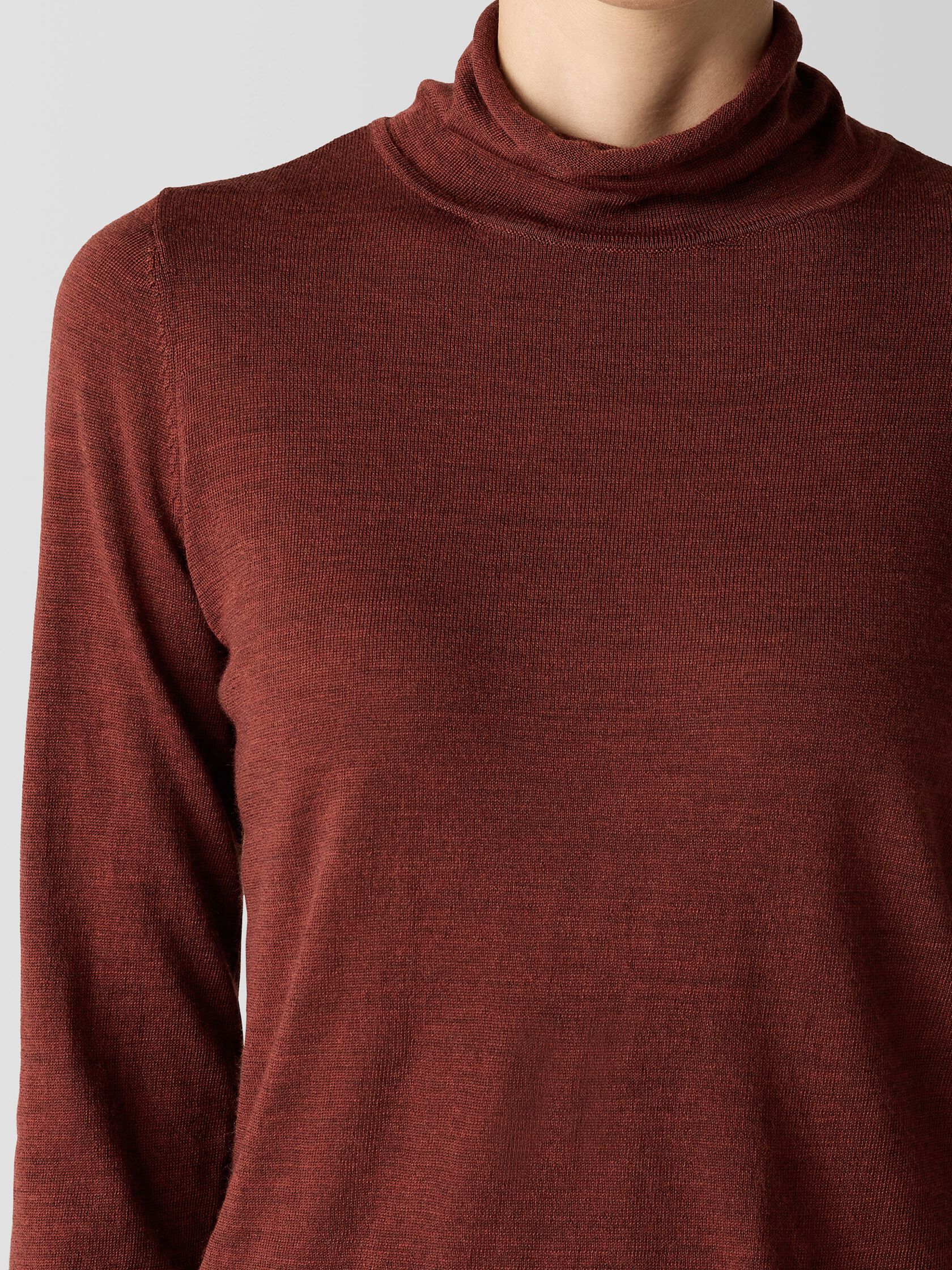 Fine Merino Turtleneck Top in Regenerative Wool