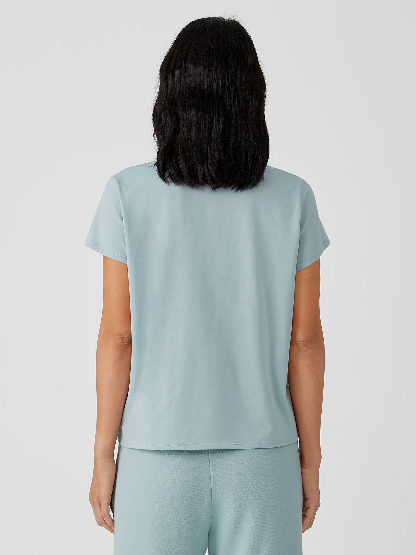 Organic Pima Cotton Jersey V-Neck Tee