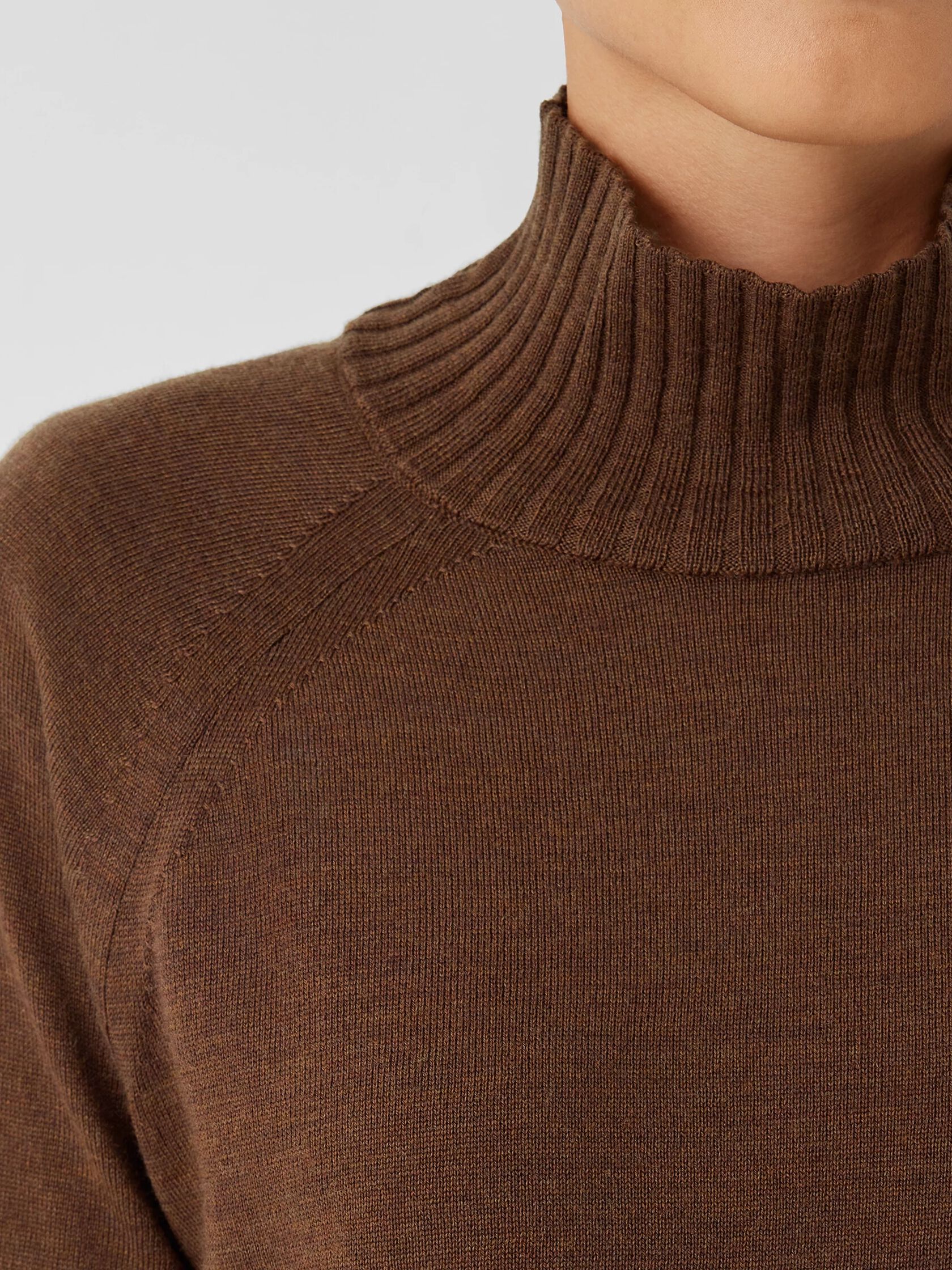 Merino Jersey Turtleneck Top in Regenerative Wool