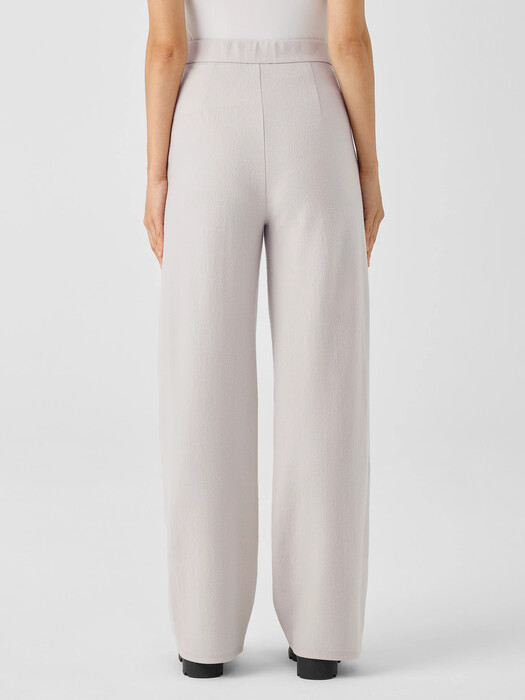 Boiled Wool Jersey Pleated Wide-Leg Pant