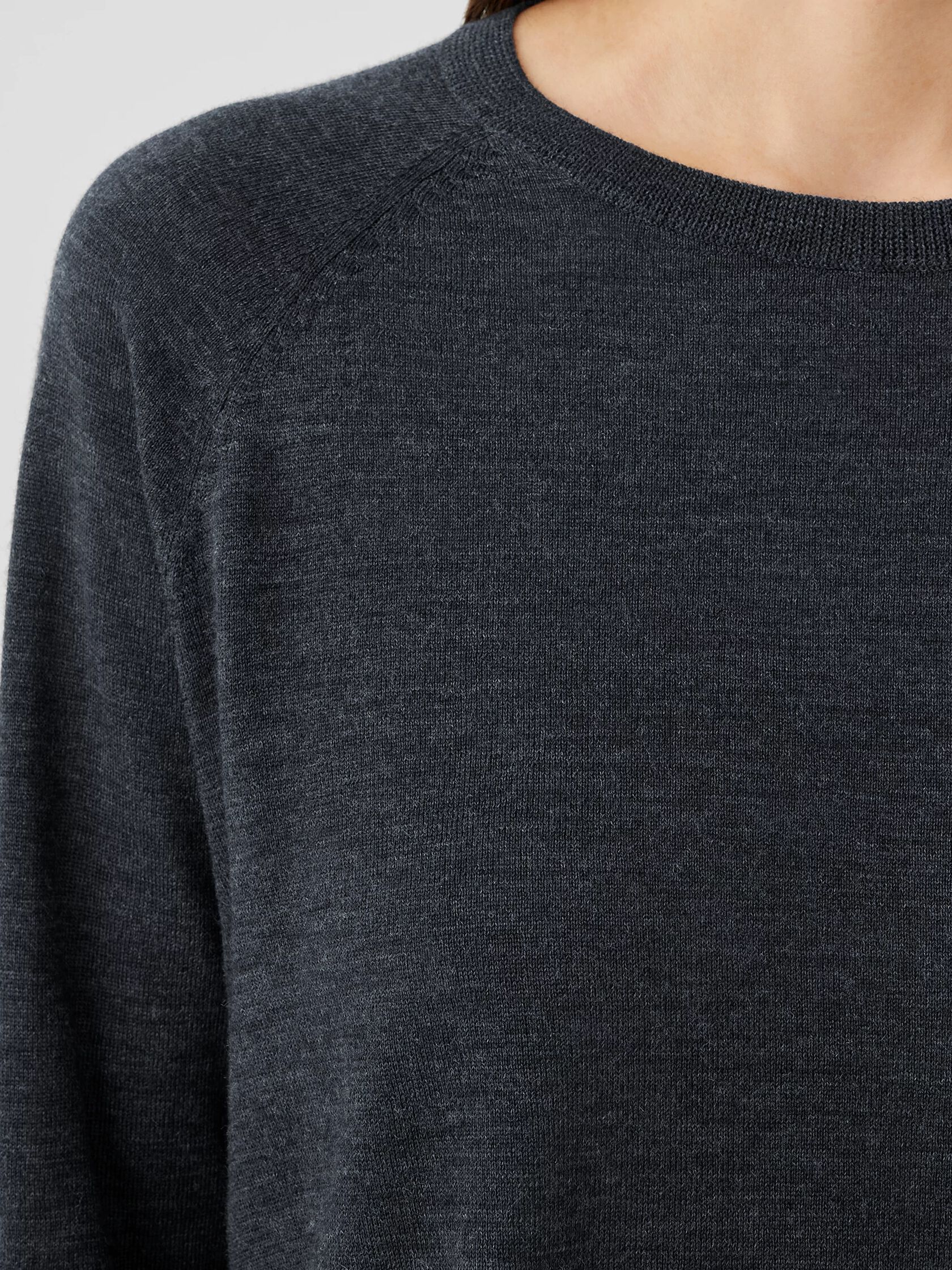 Fine Merino Jersey Crew Neck Top in Regenerative Wool