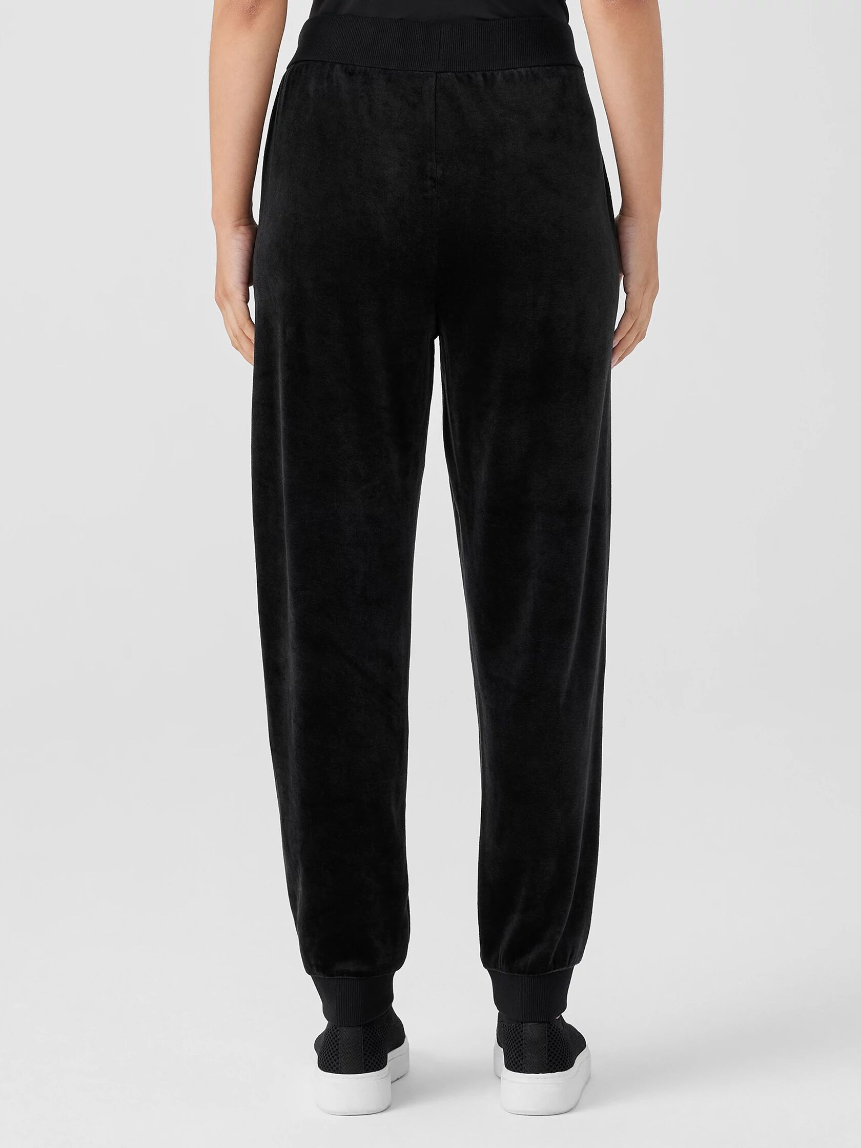 Cozy Velour Knit Jogger Pant