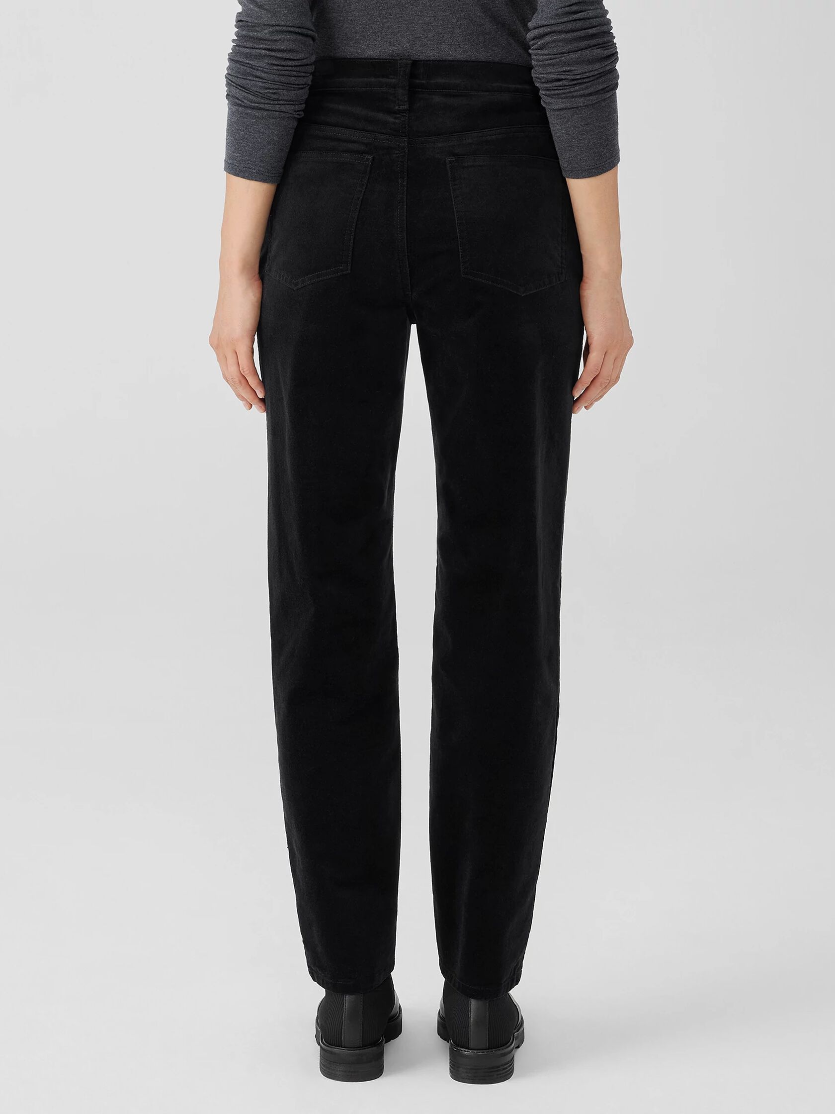 Penelope Ponte Pant Black High Waist Pant, S-M