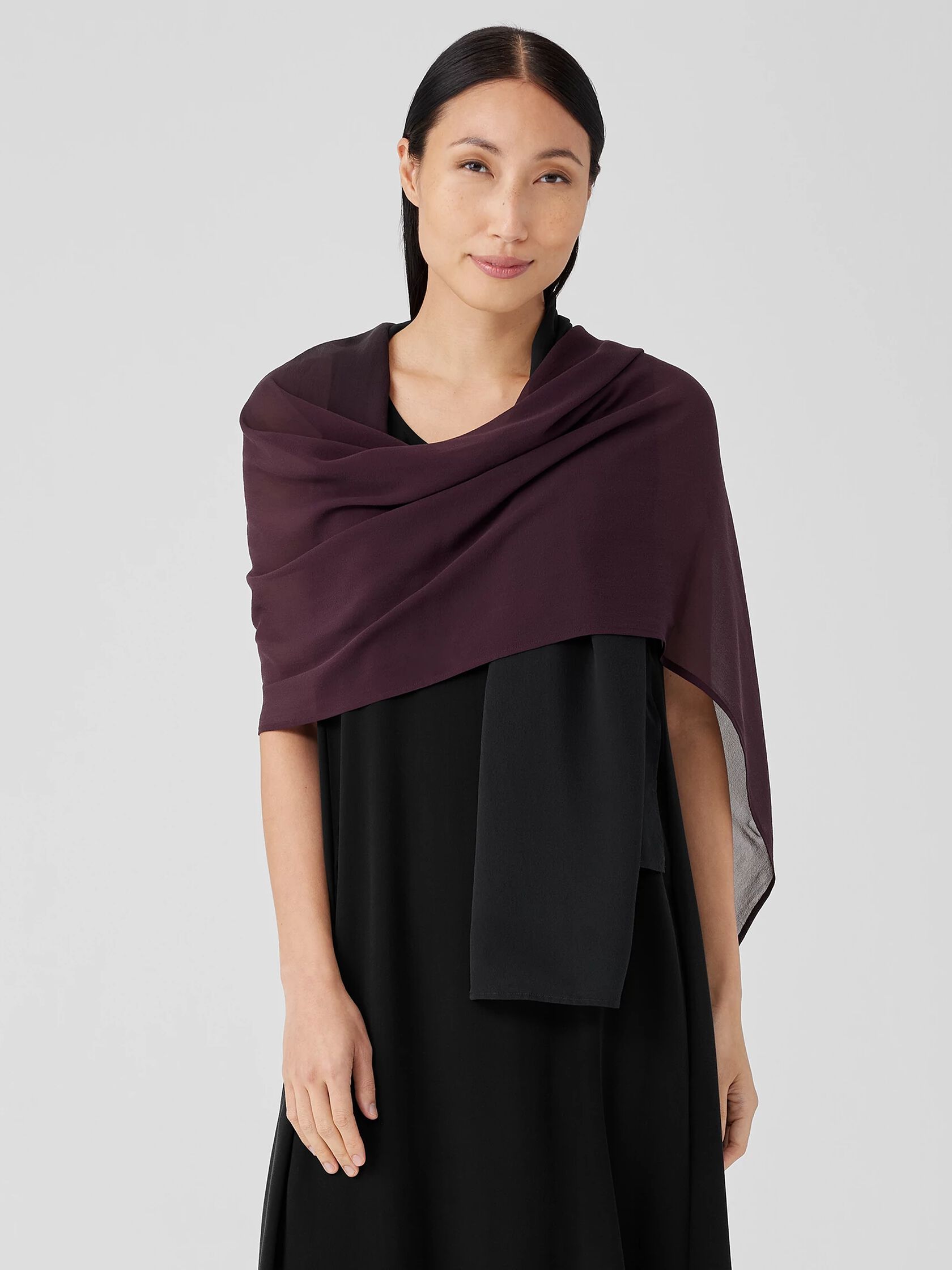 Ombré Sheer Silk Georgette Scarf