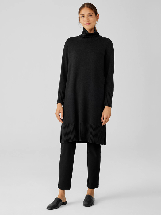 Merino Jersey Turtleneck Dress in Regenerative Wool