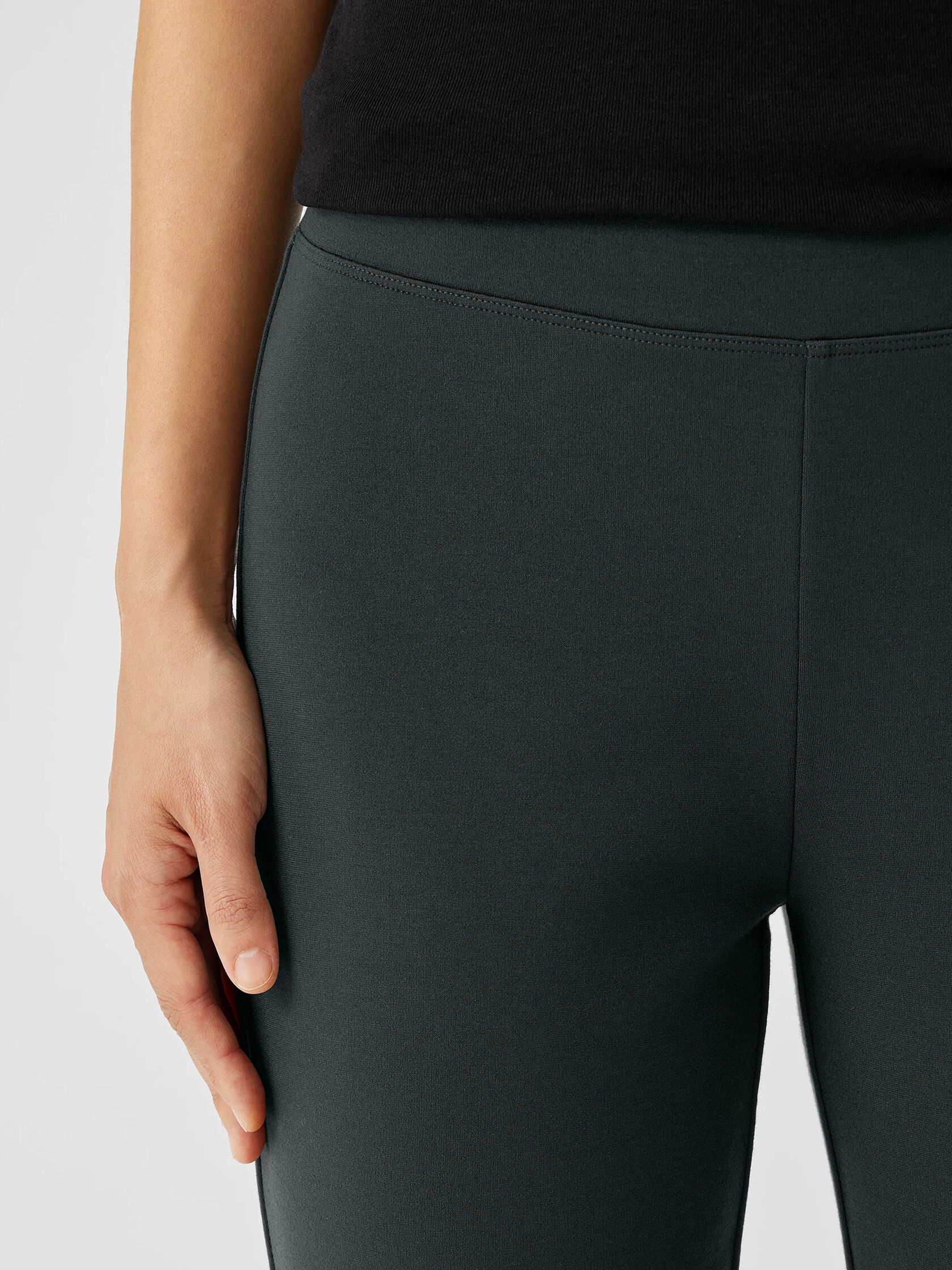Washable Flex Ponte Pant