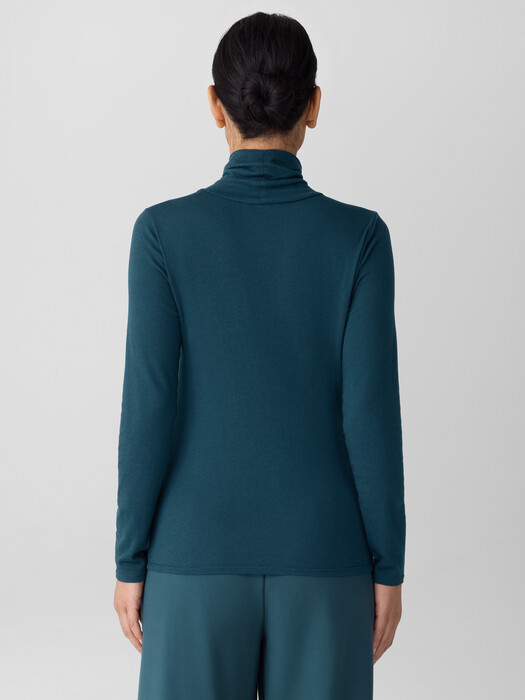 Sheer Cotton Blend Knit Turtleneck Top