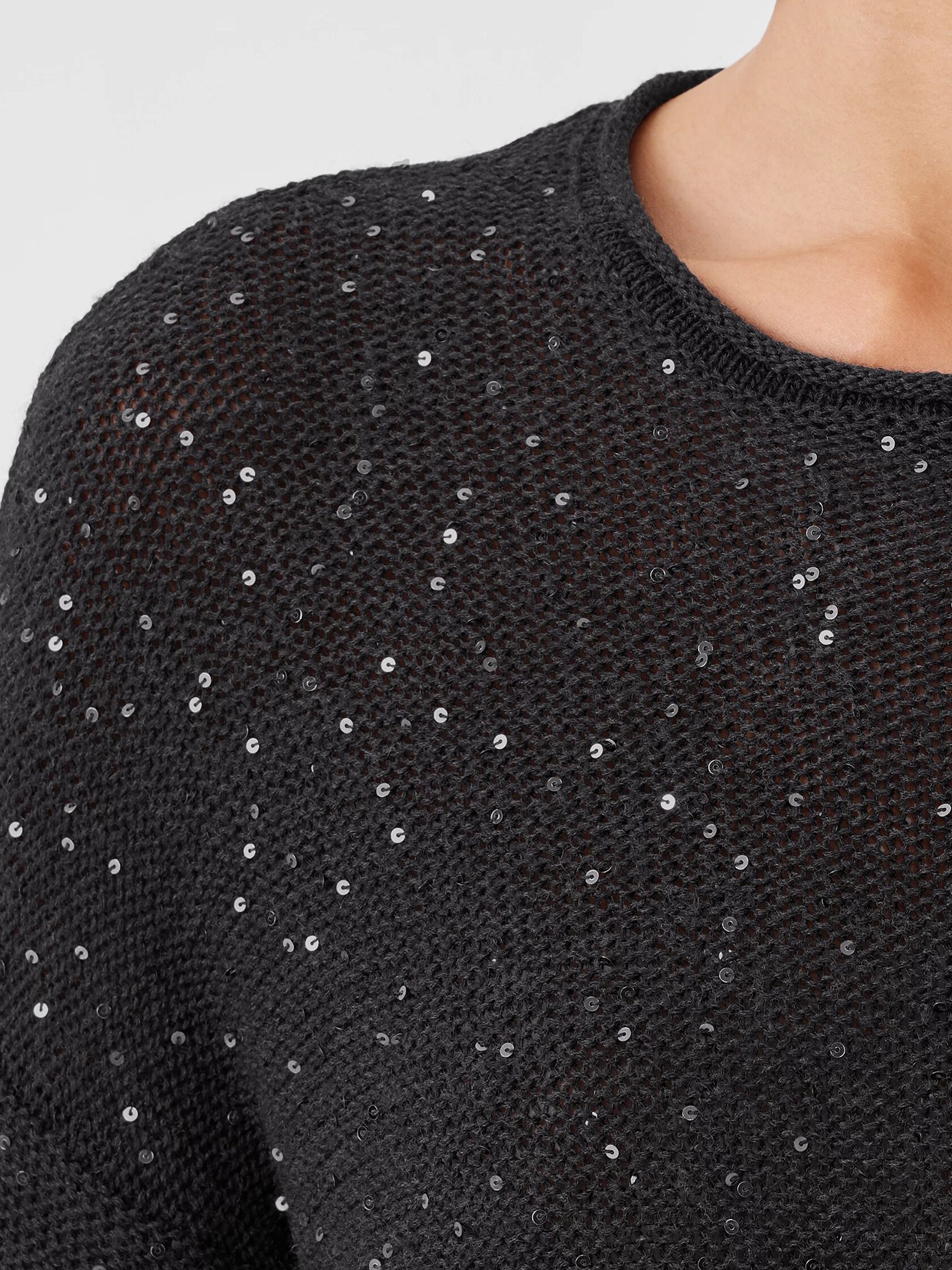 Merino Sequin Crew Neck Top