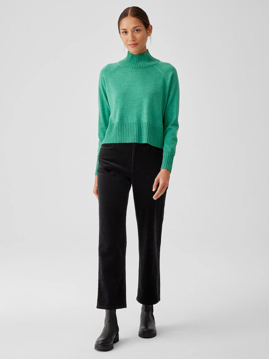 Merino Jersey Turtleneck Top in Regenerative Wool