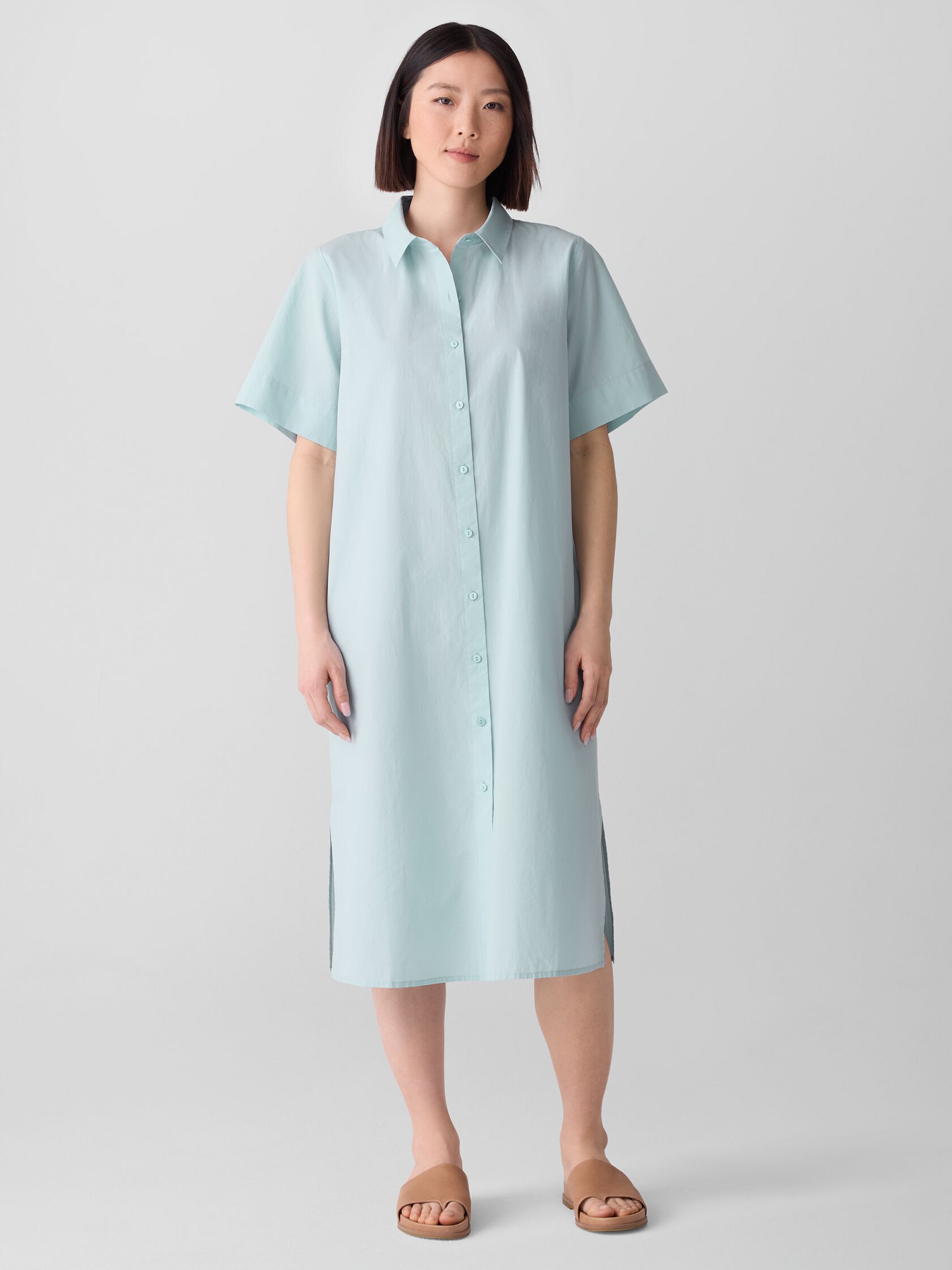 Washed Organic Cotton Poplin Classic Collar Shirtdress