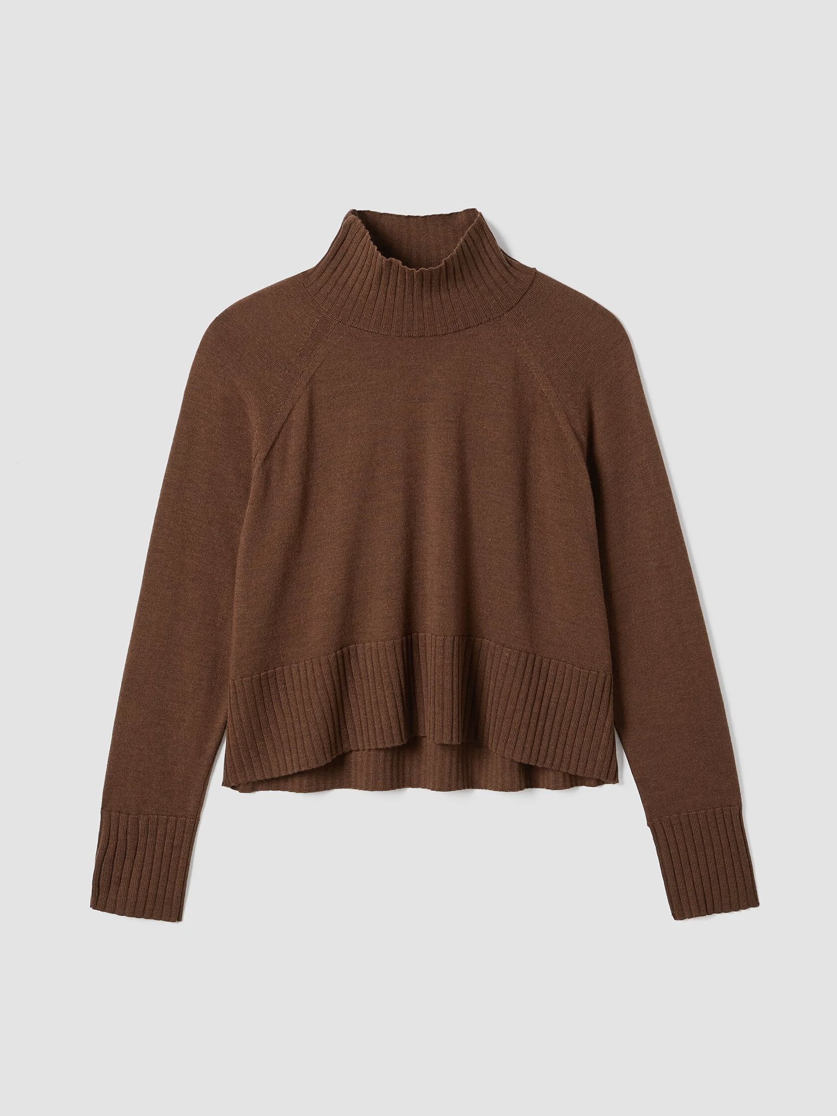 Merino Jersey Turtleneck Top in Regenerative Wool